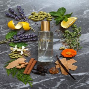 Le Male J.P.G profumo simile equivalente uomo