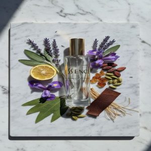 Dior Homme profumo simile equivalente uomo